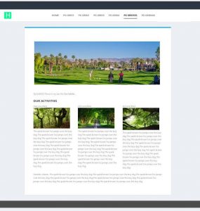 Website Design Layout1